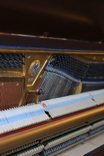 Hammers of a Piano Action
